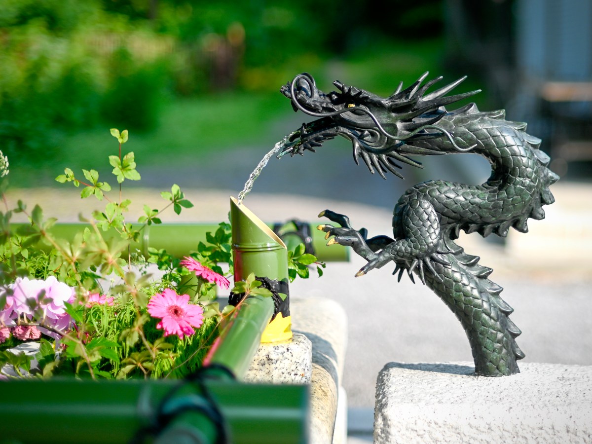 Dragon ball │&nbsp;ドラゴンボール