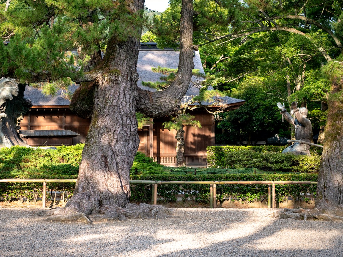 The Izumo Taisha Shrine and the White Hare of Inaba │&nbsp;出雲大社と因幡の白兎