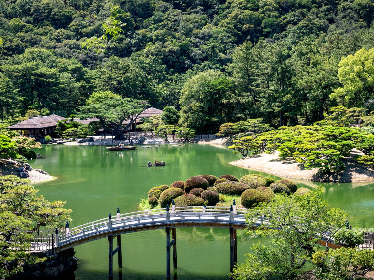 The Centenary Pines of Ritsurin Kōen │&nbsp;栗林公園の百年松